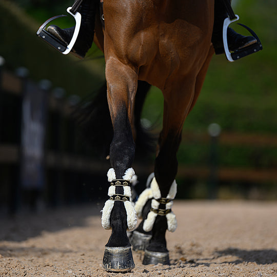Veredus Carbon Gel Absolute Save the Sheep Front Tendon Boots image 
