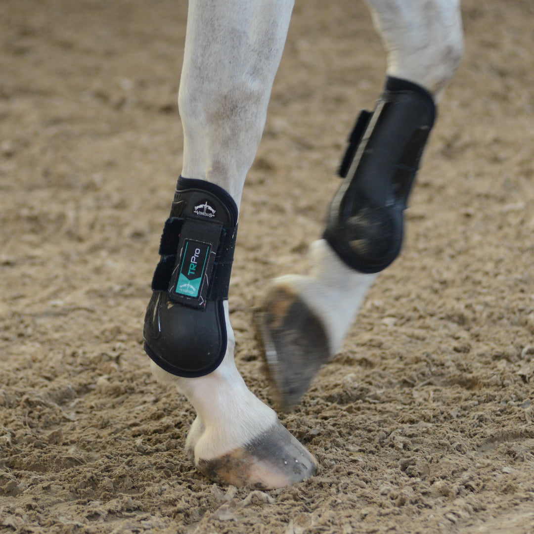 Veredus TR Pro Rear Fetlock Boots image 