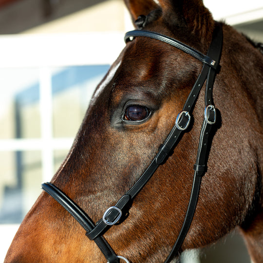Horze Leather Bitless Bridle image 