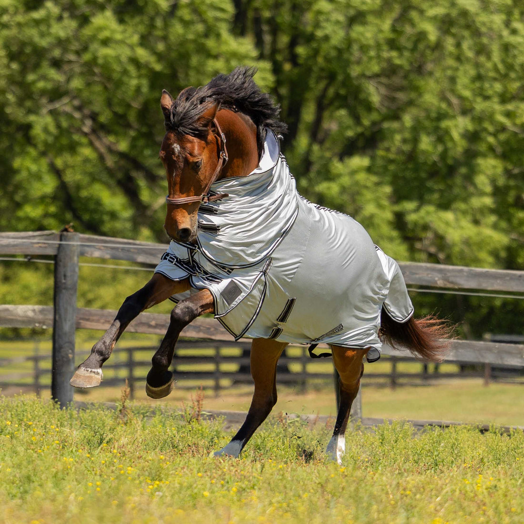 Equinavia Aktiv Athletic Detachable Neck Fly Sheet image 