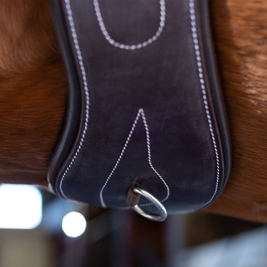 Equinavia Valkyrie Anatomical Long Girth image 