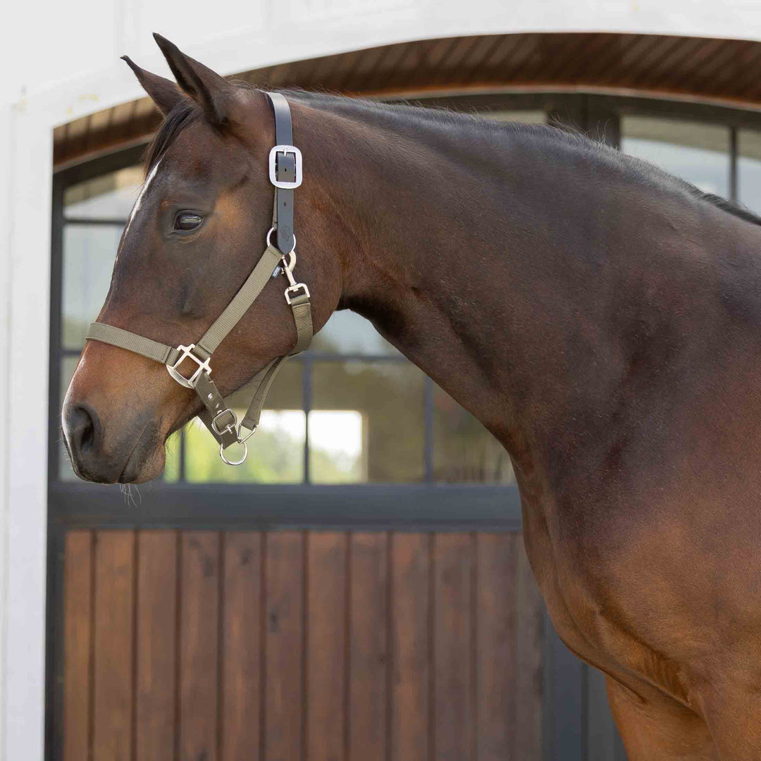 Equinavia Loki Breakaway Halter image #1