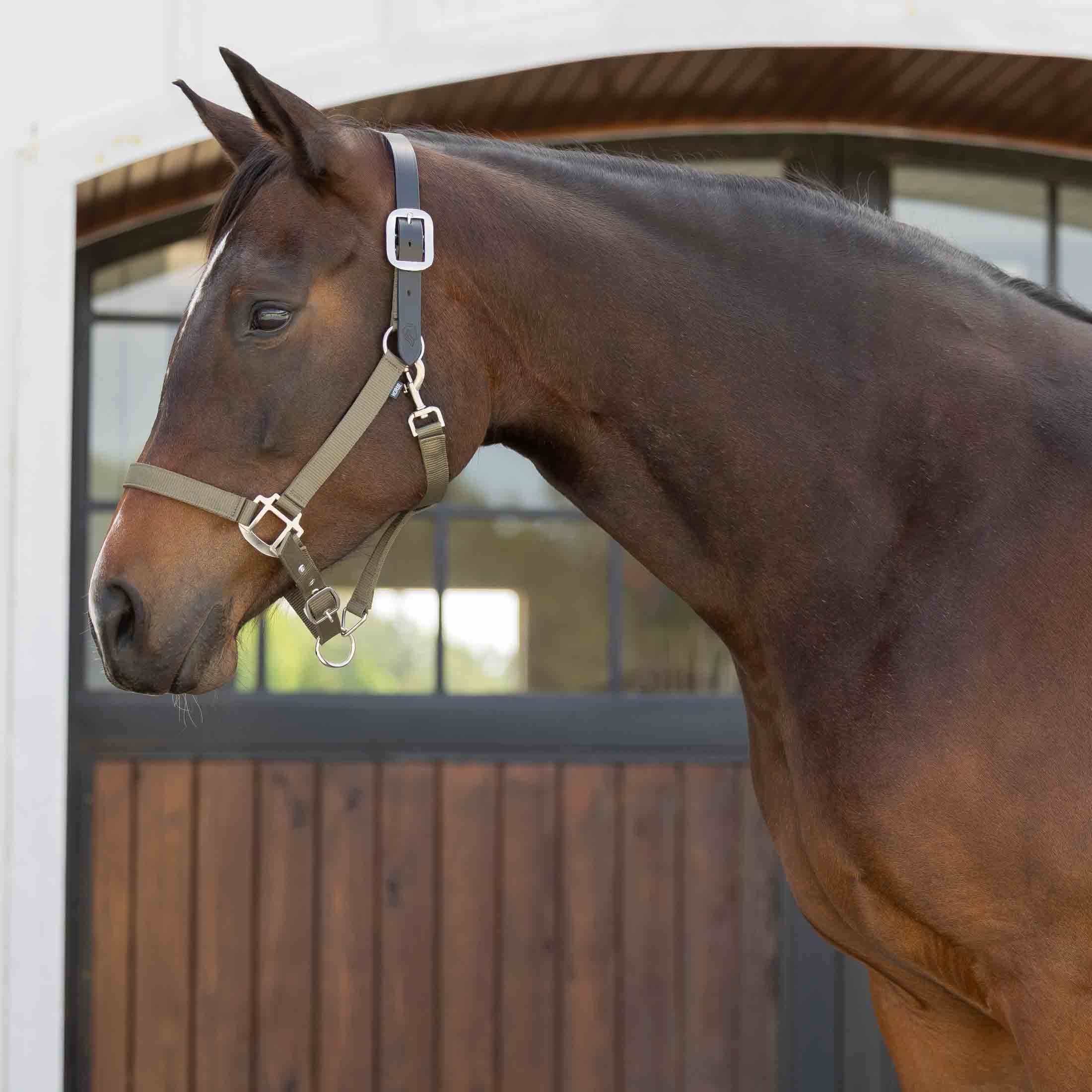 Equinavia Loki Breakaway Halter image #1