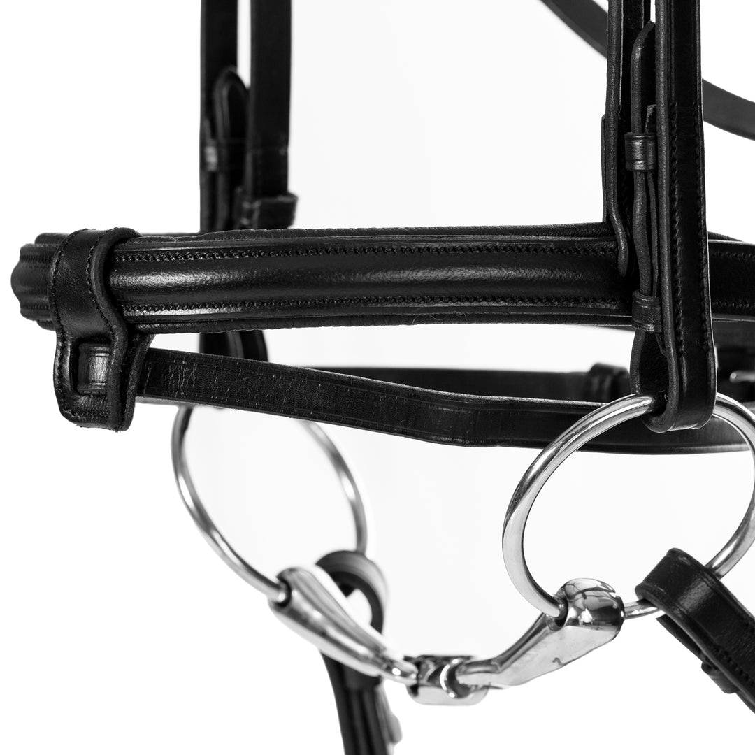 Equinavia Saga Padded Dressage Bridle &amp; Reins image 