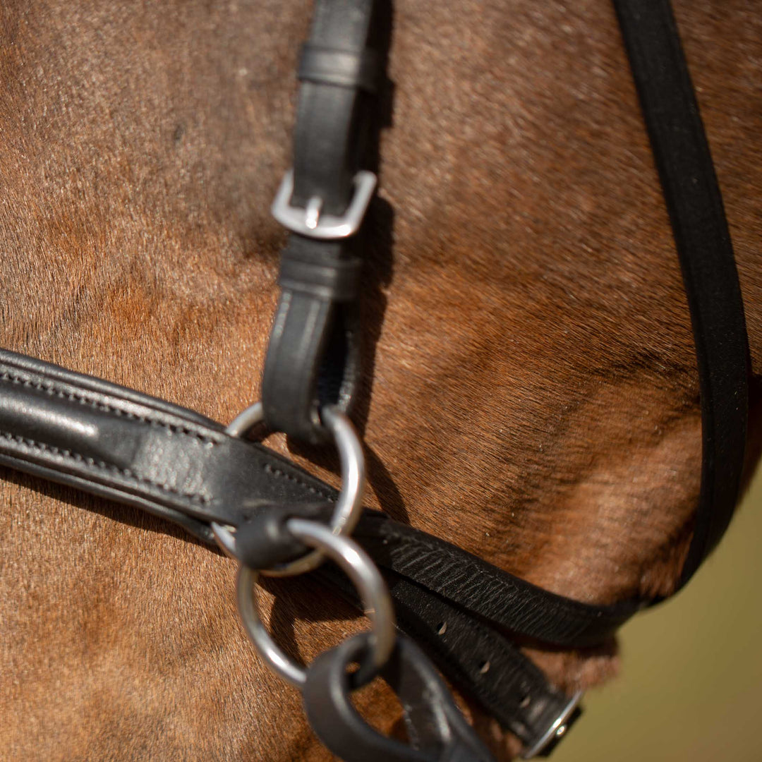 Equinavia Saga Bitless Bridle image 