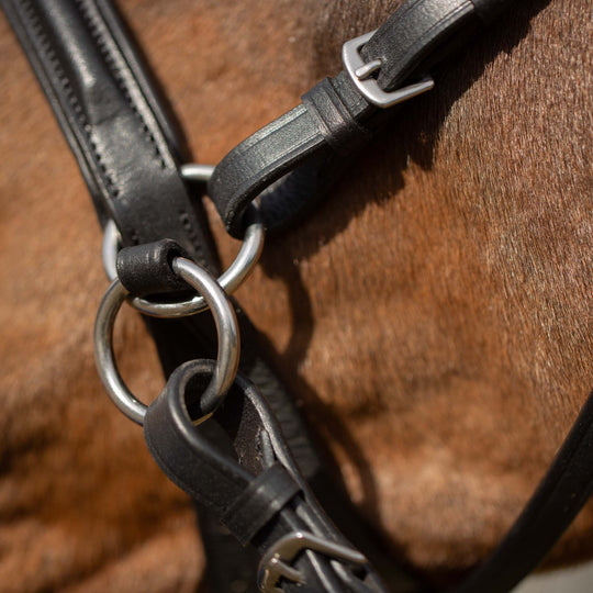 Equinavia Saga Bitless Bridle image 