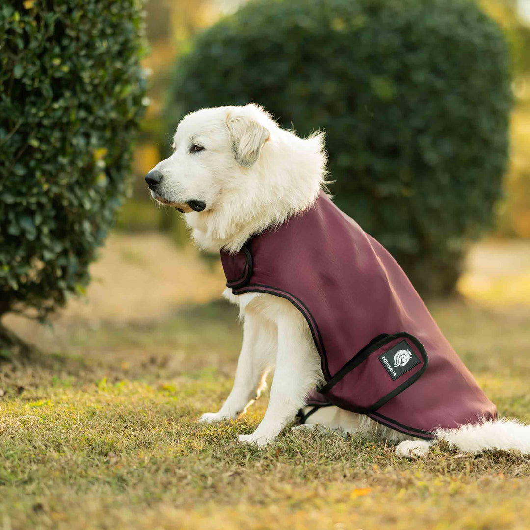 Equinavia Norse Dog Turnout Sheet image 