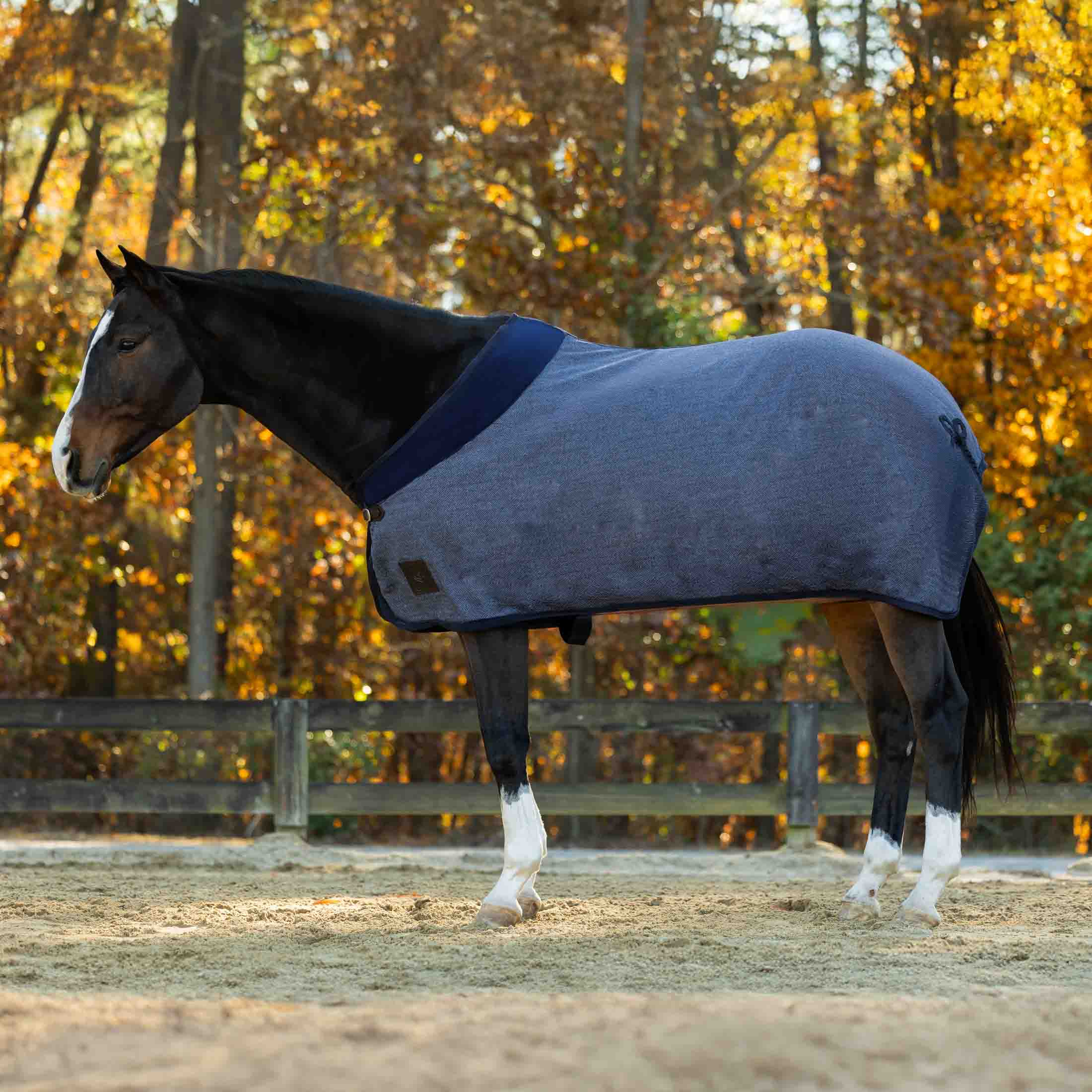 Equinavia Ulla Wool Cooler image #1