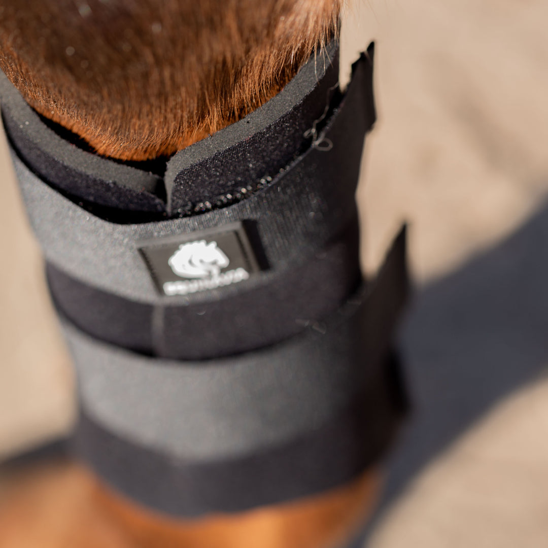Equinavia Balder Brushing Boots image 