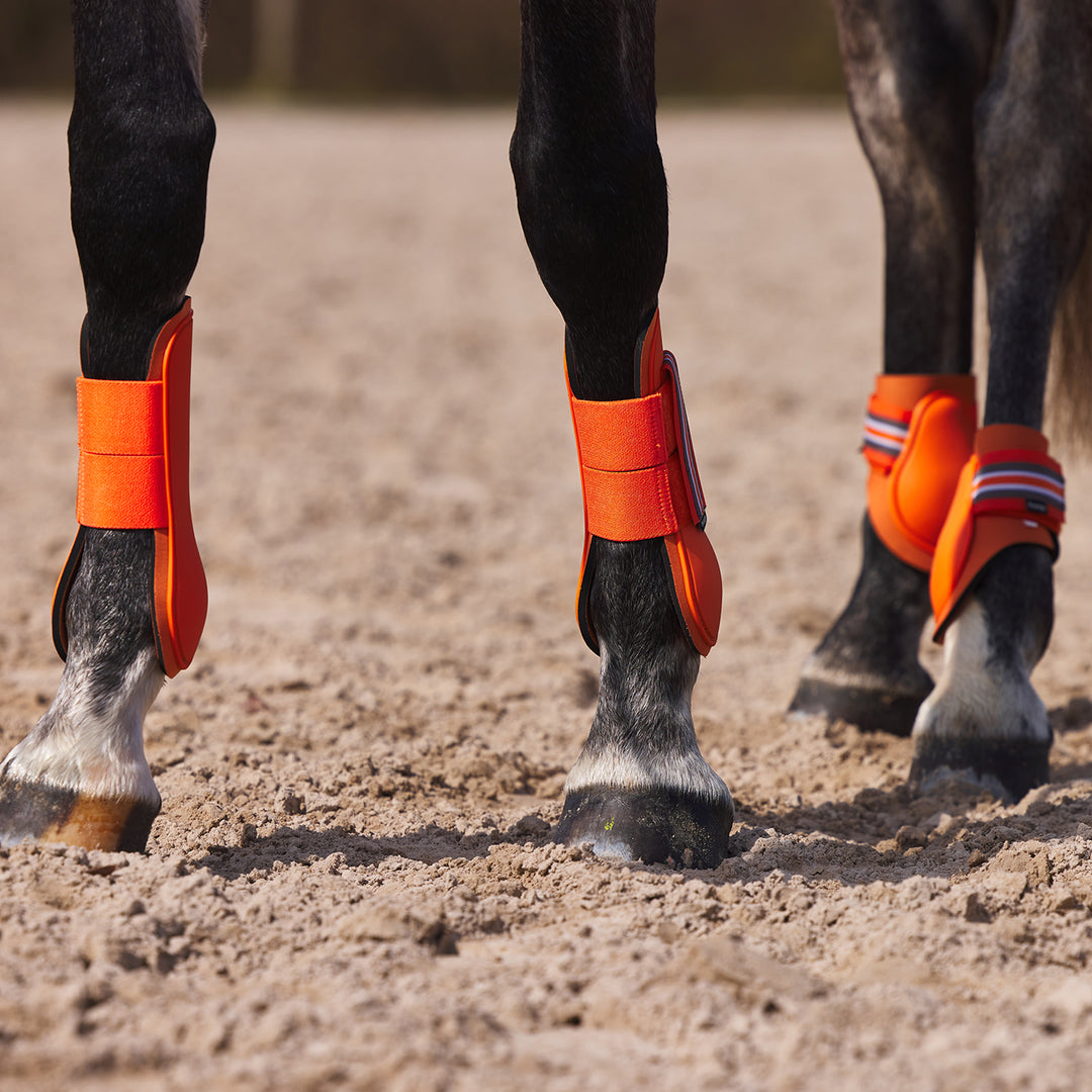 Horze Adepto Fetlock Boots image 