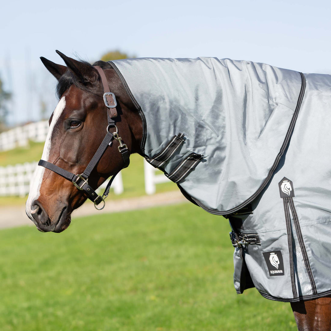 Equinavia Thunder 360 Detachable Neck Mid Weight Turnout Blanket 200g image 