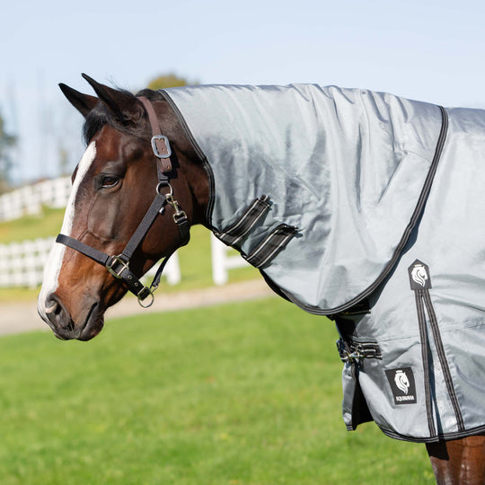 Equinavia Thunder 360 Detachable Neck Mid Weight Turnout Blanket 200g image 