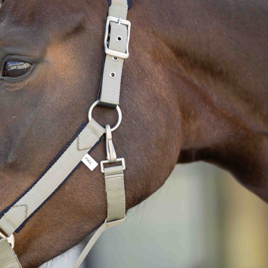 Equinavia Saga Fleece Padded Breakaway Halter image 