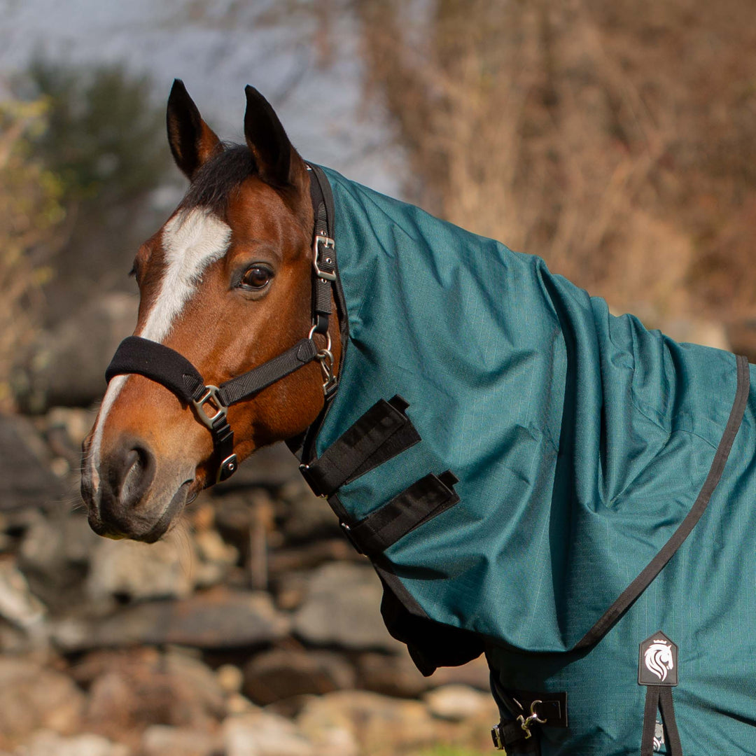 Equinavia Arktis Turnout Neck Cover 200g image #1
