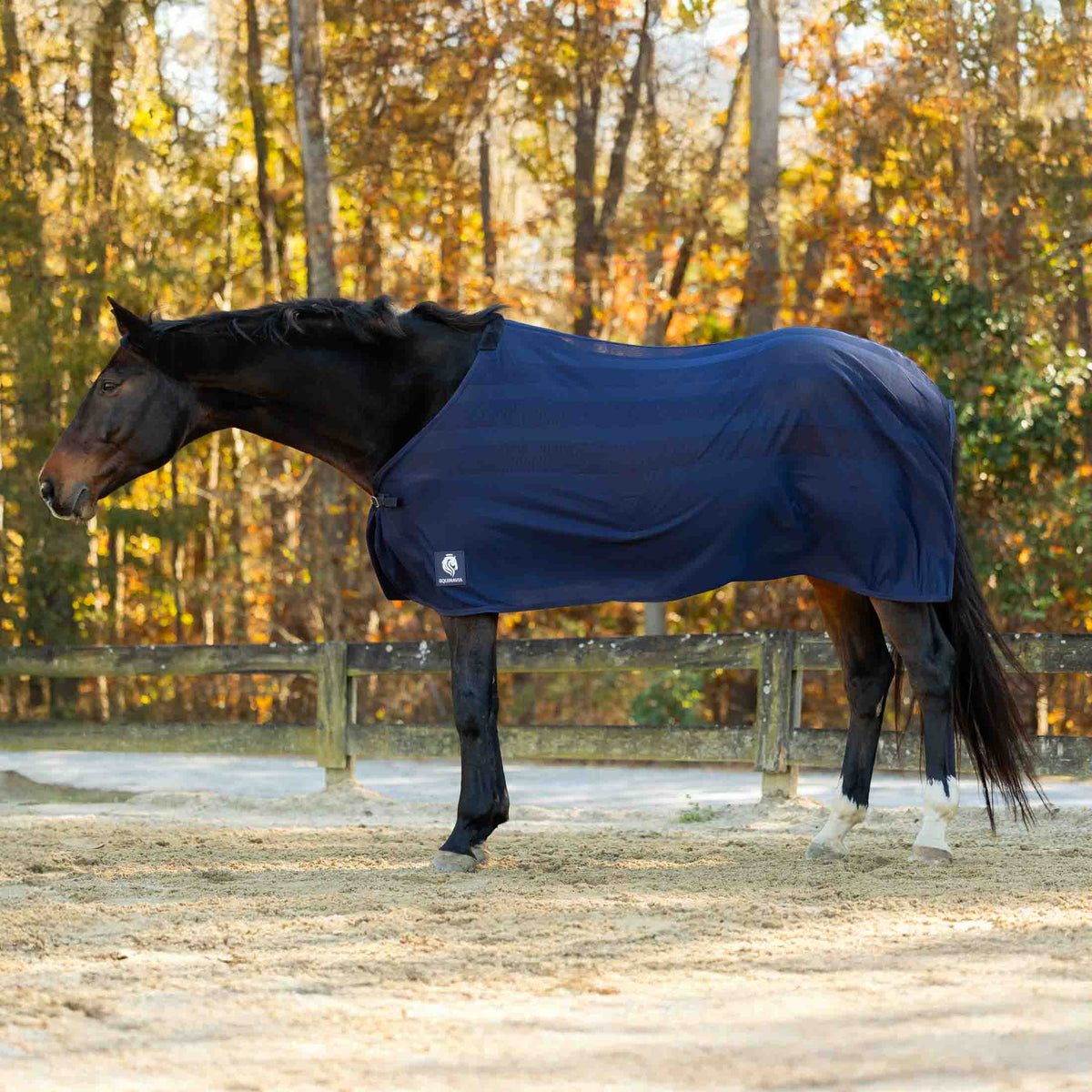 Equinavia Sefyr Scrim Sheet image #1