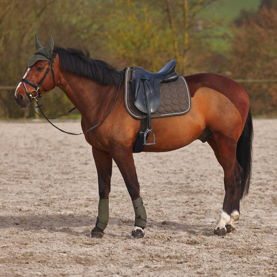 Horze Marquess Dressage Saddle Pad image 