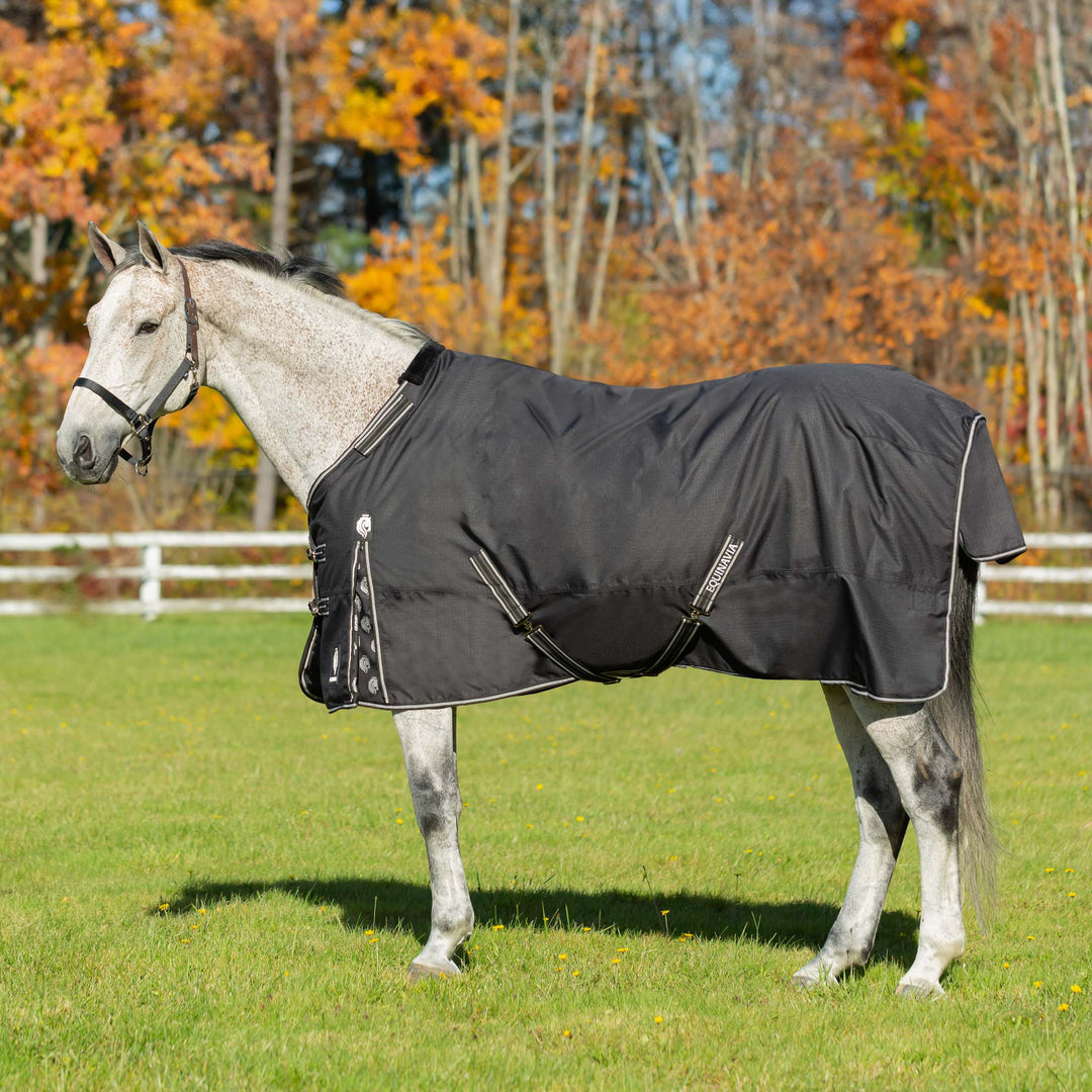 Equinavia Norse Mid Weight Turnout Blanket 200g image #1
