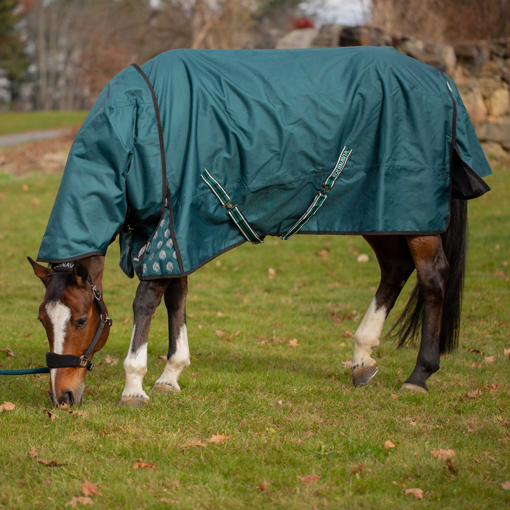 Equinavia Arktis Regular Neck Light Weight Turnout Blanket 100g image #3