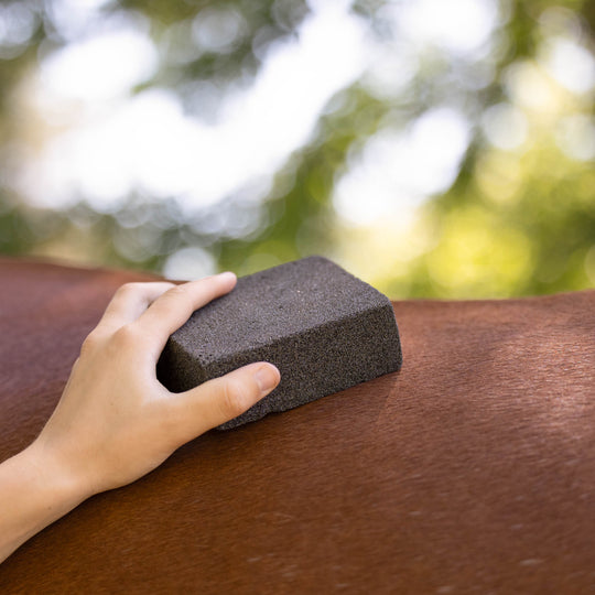 Horze Brush Stone image 