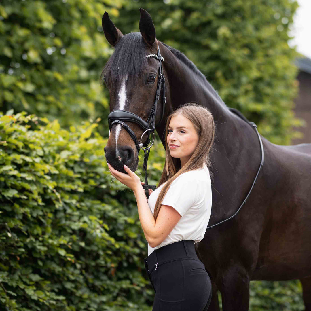 Horze Somerset Fancy Show Bridle image 