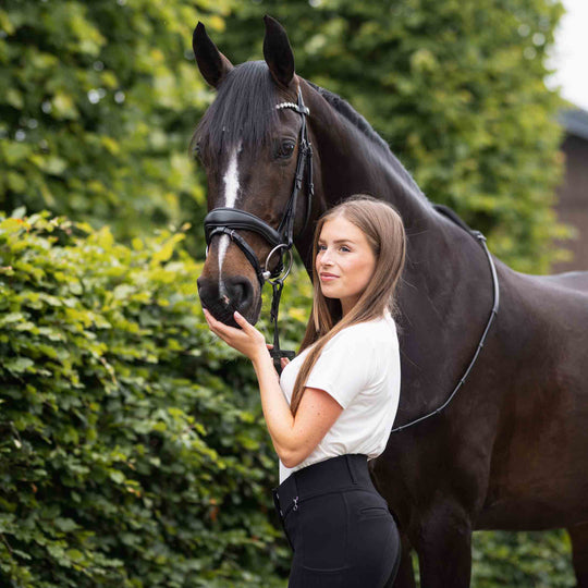 Horze Somerset Fancy Show Bridle image 