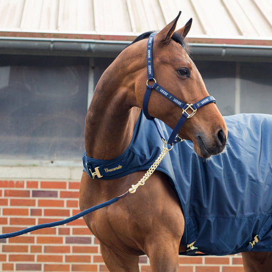 Horze Holbrook Lead Rope image 