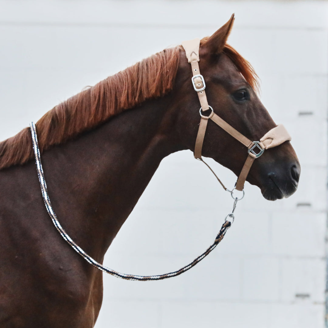 Horze Kiel Halter with Fleece image 