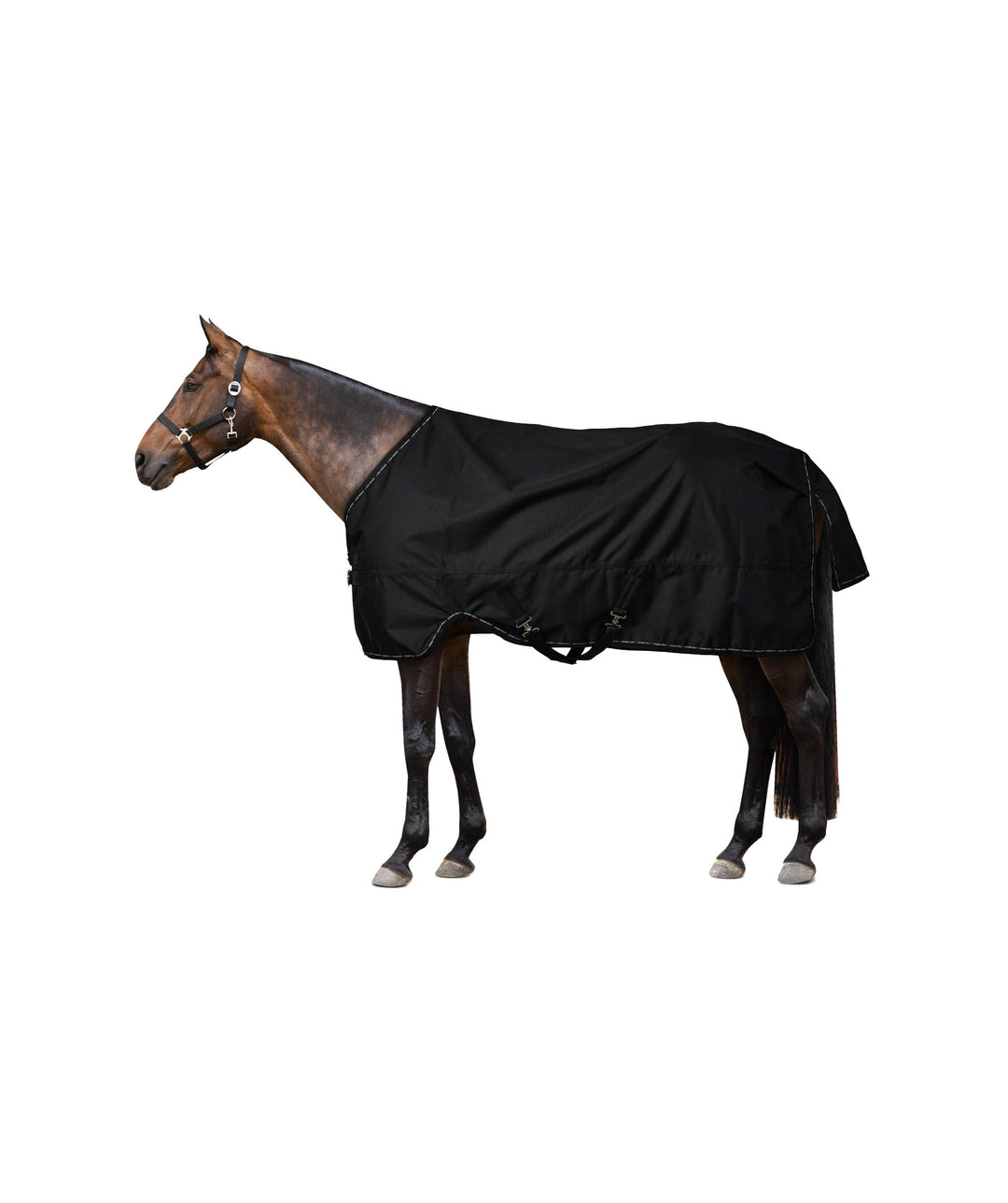 Horze Cairo Infrared Therapy Turnout Sheet image #1