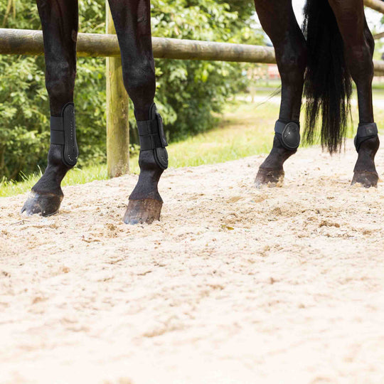 Horze Armour Airflow Tendon &amp; Fetlock Boot Set image 