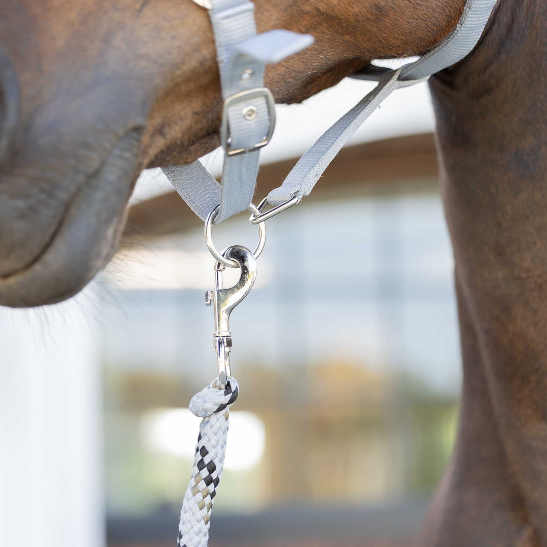 Equinavia Iris Soft Lead with Snap image 