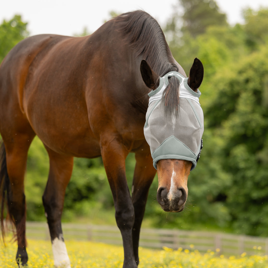 Equinavia Algard Soft Mesh Earless Fly Mask image 