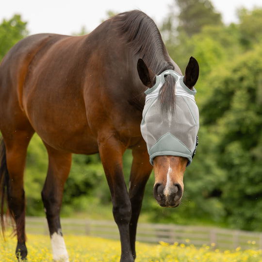 Equinavia Algard Soft Mesh Earless Fly Mask image 
