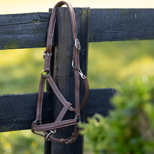 Horze Warren Soft Leather Halter image 