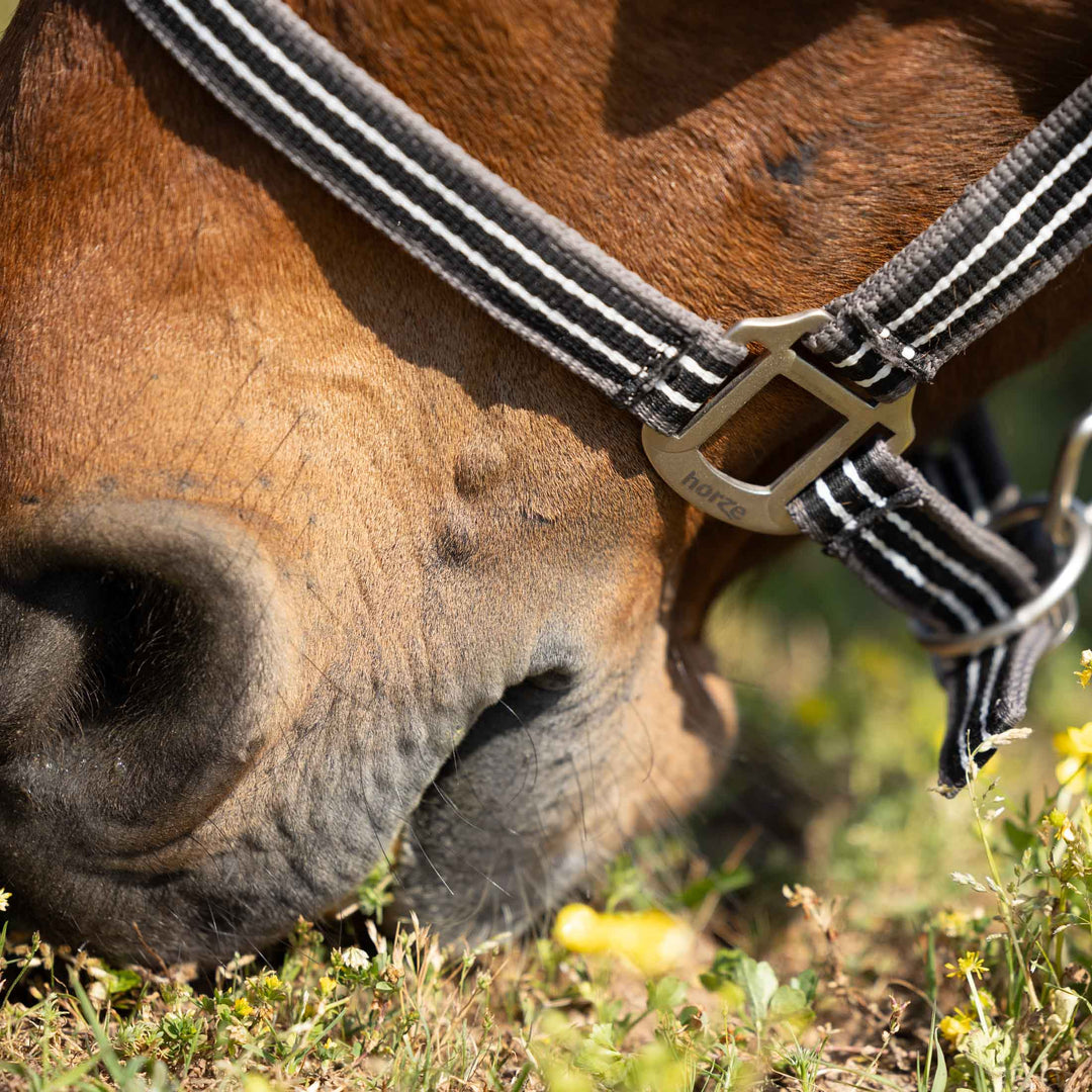 Horze Adepto Halter image 