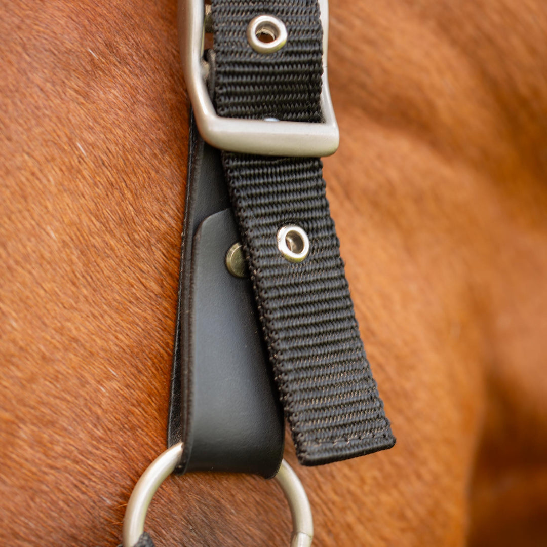 Equinavia Saga Fleece Padded Breakaway Halter image 