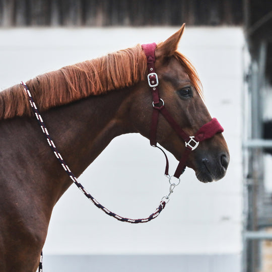 Horze Kiel Halter with Fleece image 