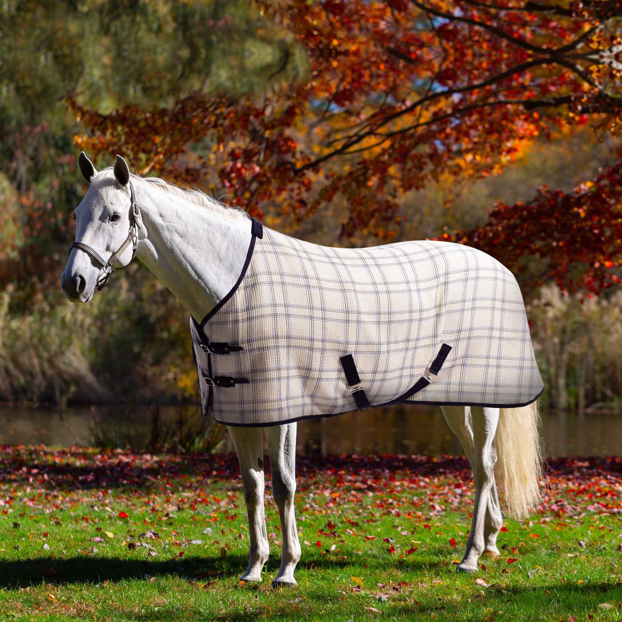 Equinavia Luftig Waffle Cooler image #1