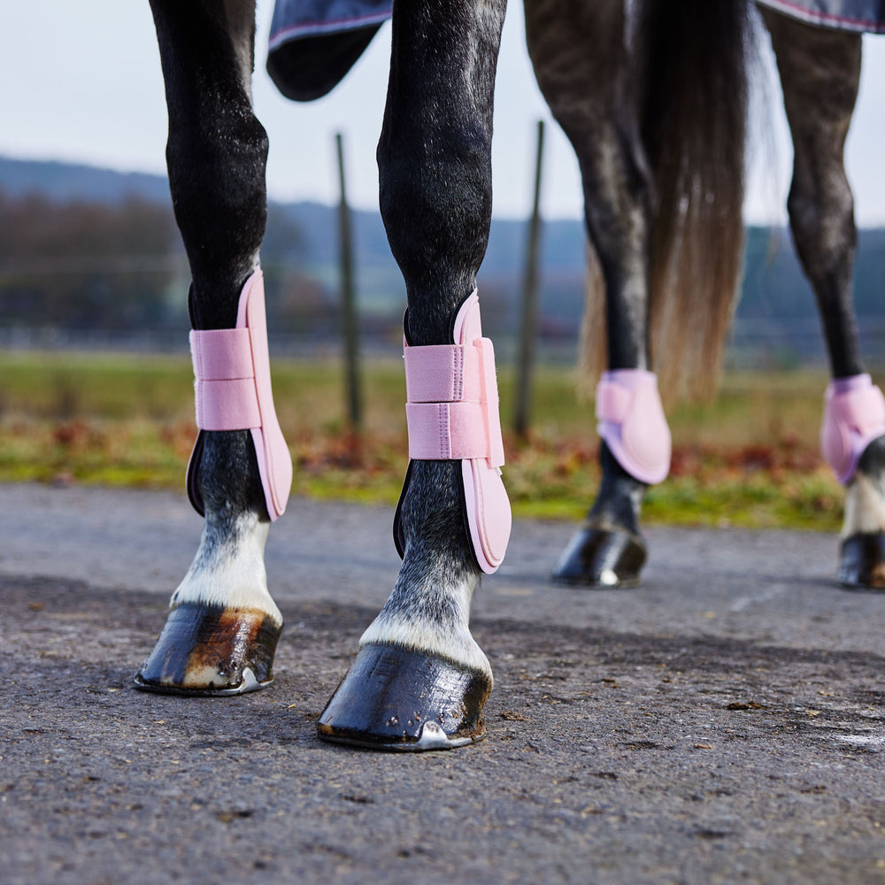 Horze Chicago Tendon Open Front Horse Boots image #2