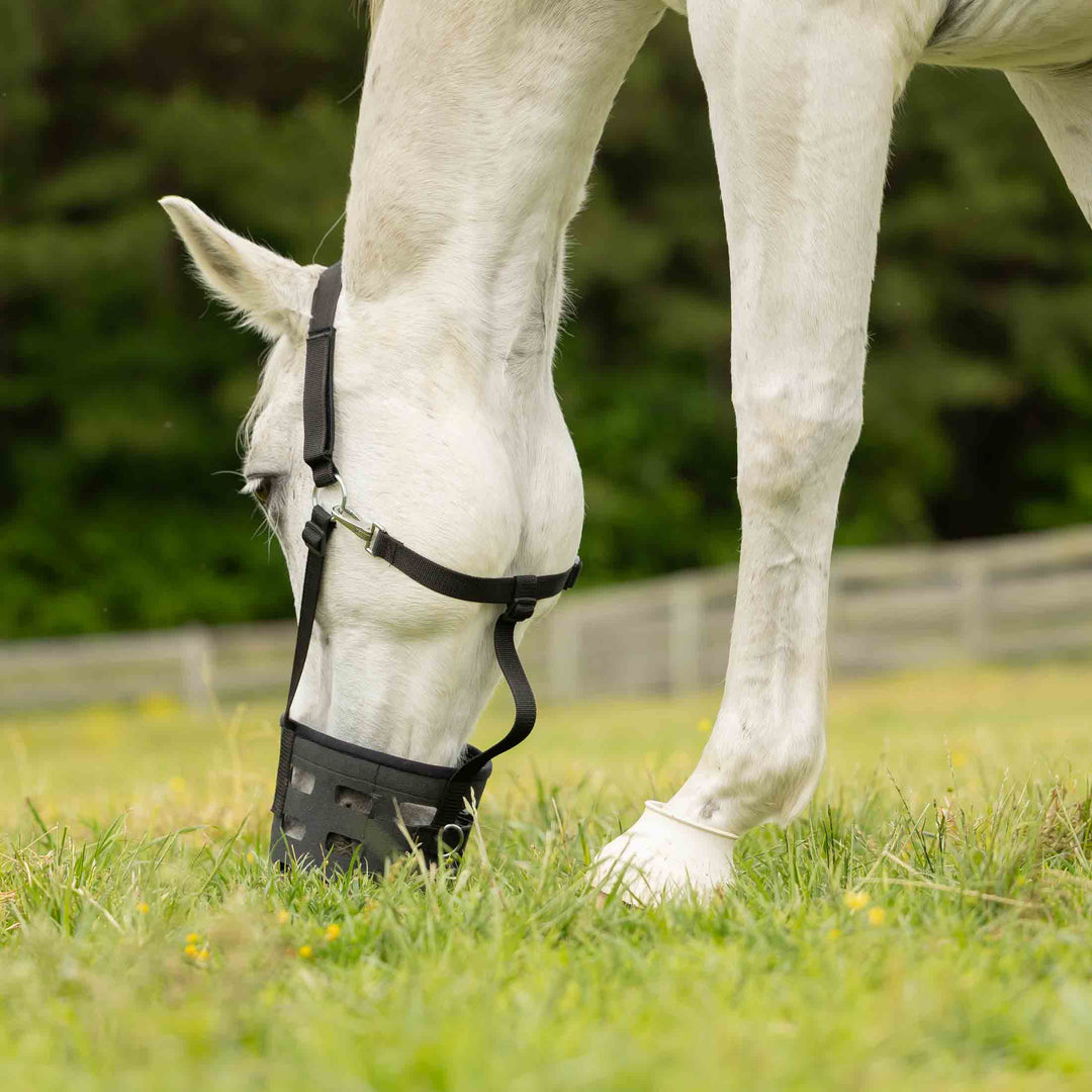 Equinavia Breakaway Grazing Muzzle image 