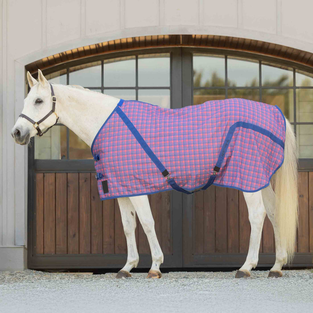 Equinavia Fryd Cotton Stable Sheet image #1