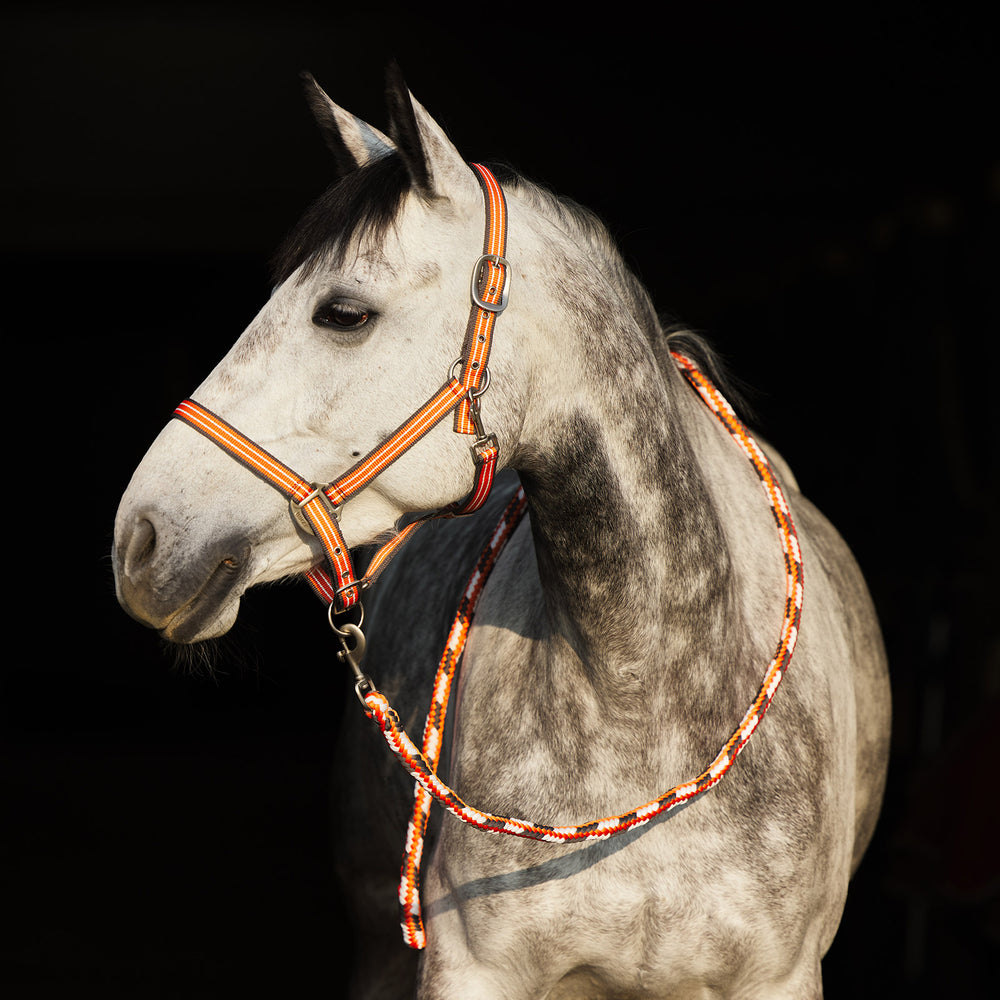 Horze Adepto Halter image #2