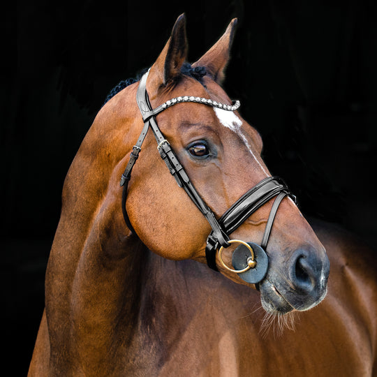 Horze Clermont Ergonomic Crystal Bridle image 