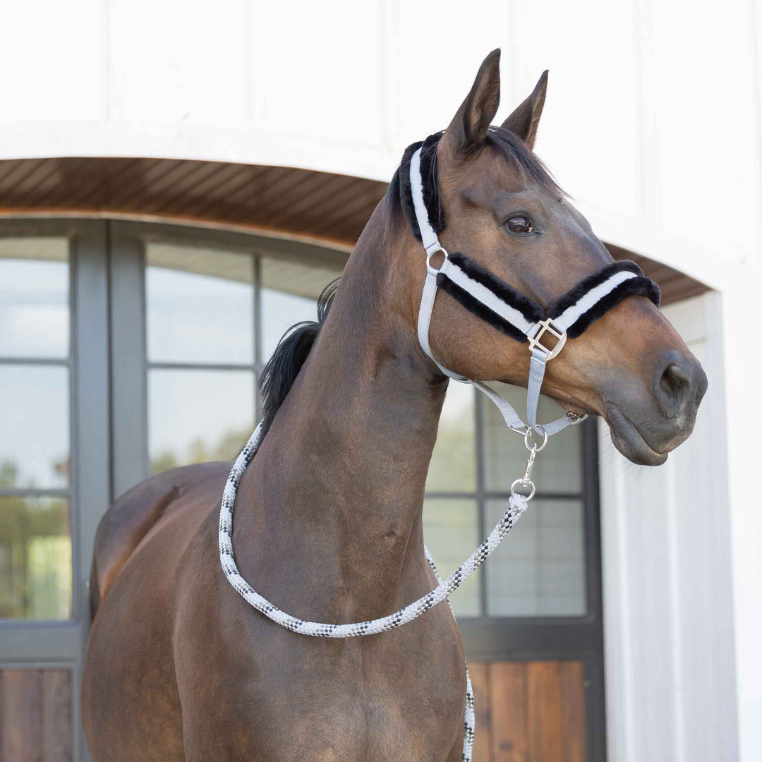 Equinavia Iris Soft Lead with Snap image 