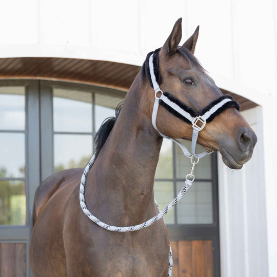 Equinavia Iris Soft Lead with Snap image 