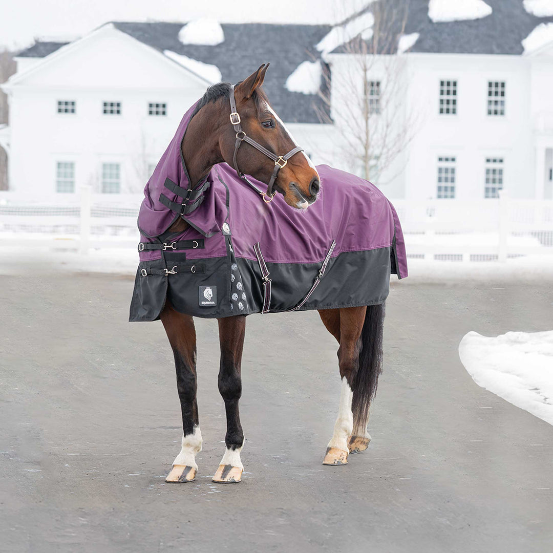 Equinavia Thunder 360 Detachable Neck Turnout Sheet image #7