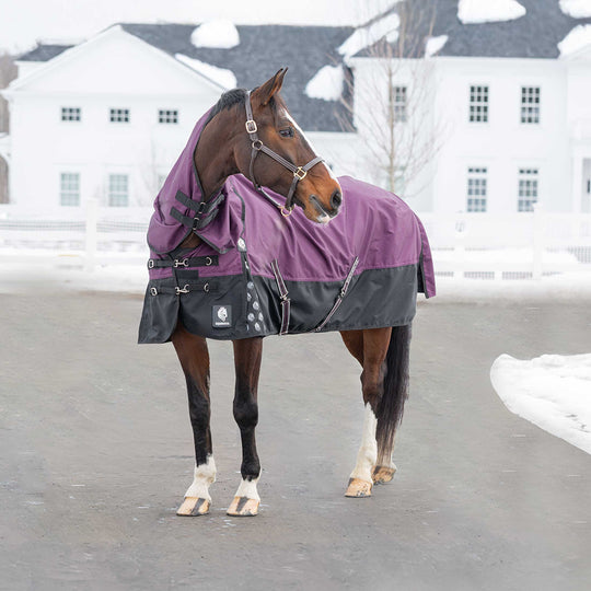 Equinavia Thunder 360 Detachable Neck Turnout Sheet image 