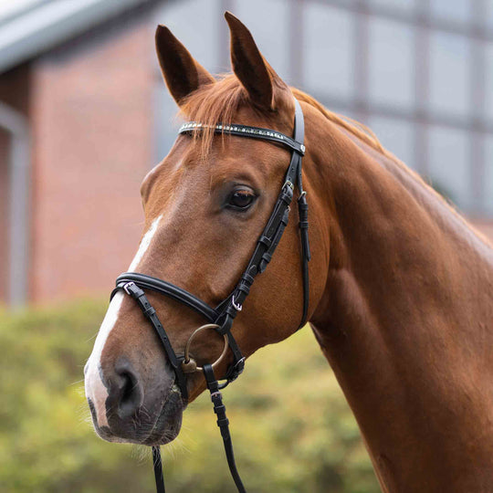 Horze Weston Flash Bridle w/ Reins image 