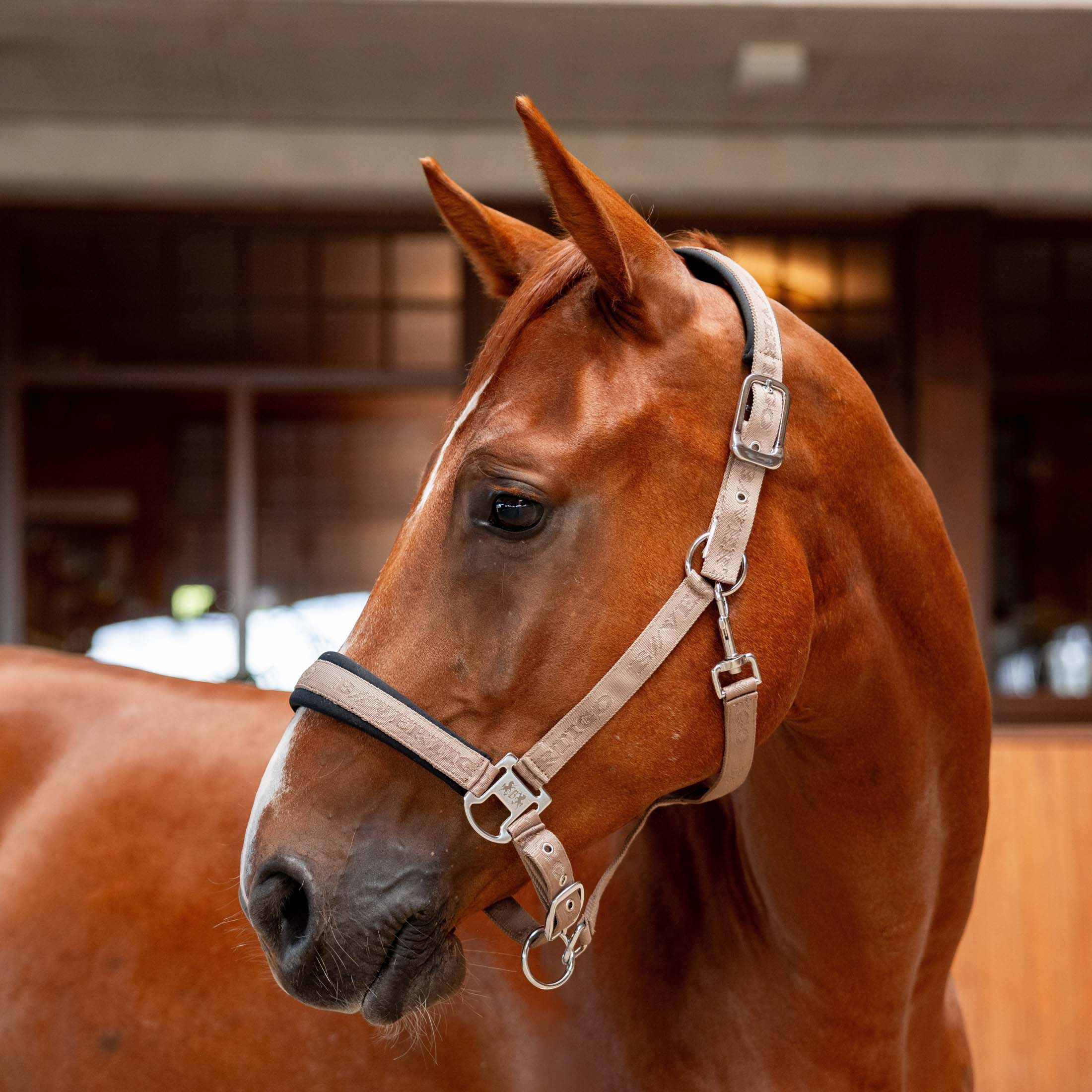 B Vertigo High Altitude Embossed Halter image #1