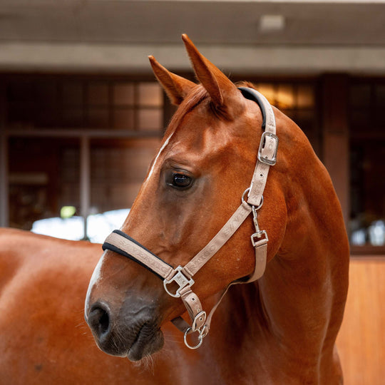 B Vertigo High Altitude Embossed Halter image 