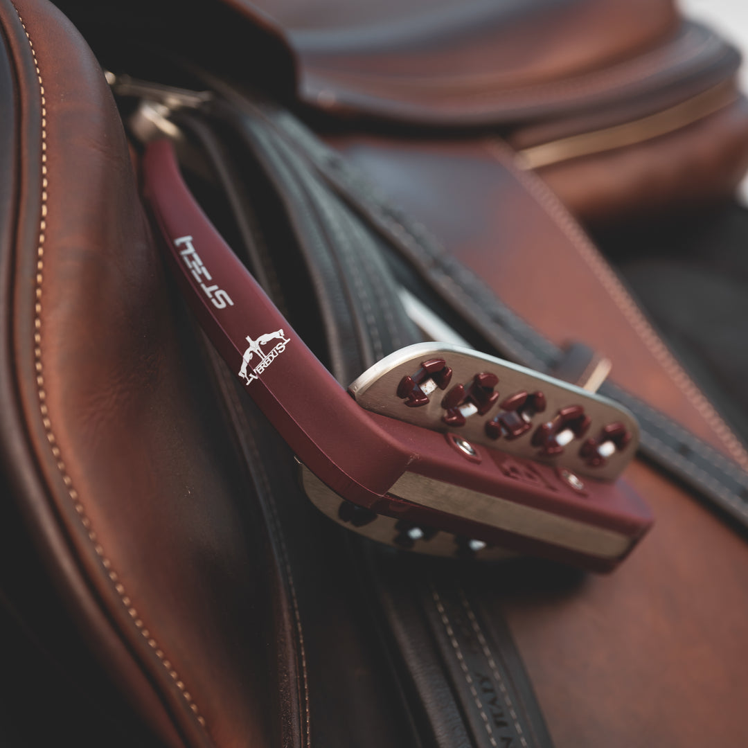 Veredus Vita Stirrup Steel1 image 